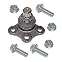 Trag-/Führungsgelenk | SKF (VKDS 313006)
