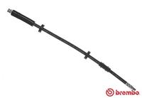 Bremsschlauch | BREMBO (T 11 018)