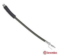Bremsschlauch | BREMBO (T 24 146)