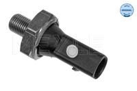 audi Oliedruksensor 1009190020