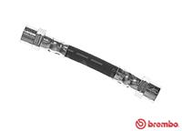 BREMBO Bremsschläuche T 06 033 Bremsschlauch BMW,5 E39,5 Touring E39,7 E38,8 E31