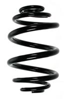 Fahrwerksfeder | SPIDAN (85538)