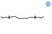 MEYLE Stabilisator 100 653 0023 Stabilisator, Fahrwerk VW,SKODA,SEAT,GOLF V 1K1,GOLF VI 5K1,GOLF VI Variant AJ5,GOLF V Variant 1K5,OCTAVIA Combi 1Z5