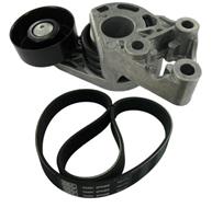 Volkswagen Multiriem set