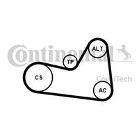 continentalctam Poly V-riem set CONTINENTAL CTAM, u.a. für Skoda, Audi, VW, Seat