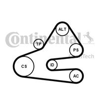 continentalctam Keilrippenriemensatz | CONTINENTAL CTAM (6PK1613K1)