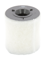 Luftfilter | CHAMPION (CAF100487C)