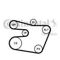 continentalctam Poly V-riem set CONTINENTAL CTAM, u.a. für BMW