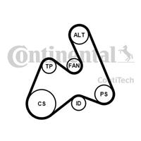 continentalctam Poly V-riem set CONTINENTAL CTAM, u.a. für VW, Audi