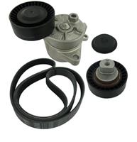 bmw Multiriem set