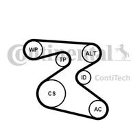 continentalctam Poly V-riem set CONTINENTAL CTAM, u.a. für Skoda, VW, Seat