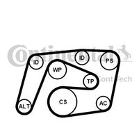 continentalctam Keilrippenriemensatz | CONTINENTAL CTAM (6PK2260K1)