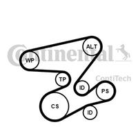 continentalctam Keilrippenriemensatz | CONTINENTAL CTAM (6PK2080K1)