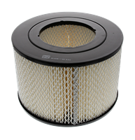 Luftfilter | CHAMPION (CAF100209R)