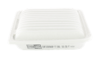 Luftfilter Champion CAF100940P