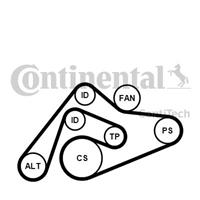 continentalctam Poly V-riem set CONTINENTAL CTAM, u.a. für Audi, VW, Skoda