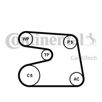 continentalctam Poly V-riem set CONTINENTAL CTAM, u.a. für Mercedes-Benz