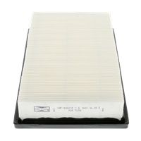 Luftfilter | CHAMPION (CAF100521P)