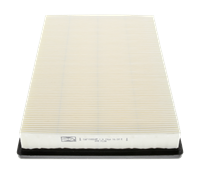 Luftfilter | CHAMPION (CAF100554P)