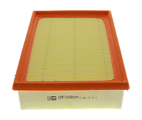 Luftfilter | CHAMPION (CAF100607P)