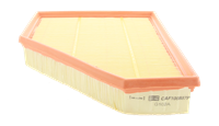 Luftfilter | CHAMPION (CAF100887P)