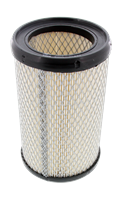Luftfilter | CHAMPION (CAF100434C)