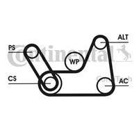 continentalctam Poly V-riem CONTINENTAL CTAM, u.a. für Ford, Mazda