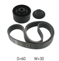 Poly V-riem set SKF, u.a. für Renault