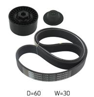 Poly V-riem set SKF, u.a. für Renault