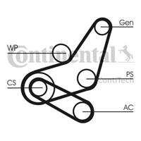 continentalctam Keilrippenriemen | CONTINENTAL CTAM (6PK1059 ELAST)