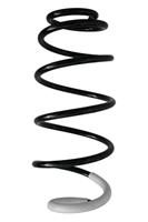 Fahrwerksfeder | SPIDAN (86804)