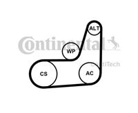 continentalctam Keilrippenriemensatz | CONTINENTAL CTAM (6PK1019 ELAST T2)