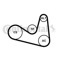 continentalctam Poly V-riem set CONTINENTAL CTAM, u.a. für Skoda, VW, Seat