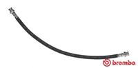 Bremsschlauch Vorderachse Brembo T 85 081