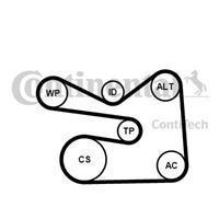 Poly V-riem set CONTINENTAL CTAM, u.a. für VW, Skoda, Seat, Audi