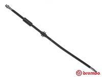 Bremsschlauch | BREMBO (T 06 036)
