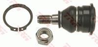 TRW Traggelenk JBJ181 Achsgelenk,Führungsgelenk NISSAN,ALMERA I Hatchback N15,ALMERA I N15,100 NX B13,SUNNY III N14,PULSAR V Schrägheck N14