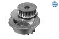 opel Waterpomp 6136004024