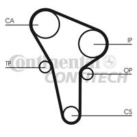 continentalctam Zahnriemen | CONTINENTAL CTAM (CT513)