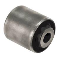 Lagerung, Lenker Vorderachse unten Delphi TD1004W