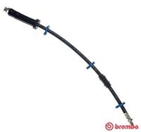 Bremsschlauch | BREMBO (T 61 066)