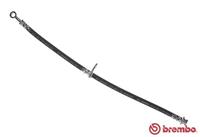 Bremsschlauch Vorderachse Brembo T 79 026
