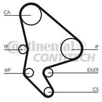 CONTITECH Zahnriemen CT987 Steuerriemen FIAT,PEUGEOT,CITROËN,DUCATO Pritsche/Fahrgestell 230,DUCATO Bus 230,DUCATO Kasten 244