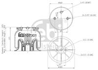 febibilstein Federbalg, Luftfederung Hinterachse Febi Bilstein 107301
