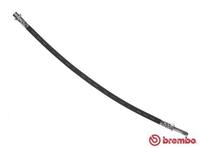 Bremsschlauch | BREMBO (T 50 055)
