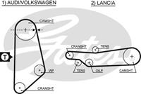 GATES Zahnriemen 5031 Steuerriemen VW,AUDI,LANCIA,PASSAT Variant 32B,PASSAT 32B,SANTANA 32B,100 44, 44Q, C3,80 81, 85, B2,100 Avant 44, 44Q, C3