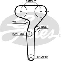 lancia Getande riem