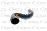 VAICO Ladeluftschlauch V10-2917  AUDI,A4 Avant 8ED, B7,A4 Avant 8E5, B6,A4 8E2, B6,A4 8EC, B7