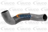 VAICO Ladeluftschlauch V24-0738  FIAT,DUCATO Kasten 244,DUCATO Pritsche/Fahrgestell 244,DUCATO Bus 244, Z_