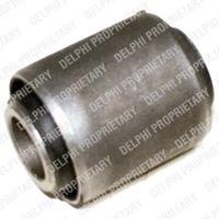 Lagerung, Lenker Vorderachse unten vorne Delphi TD403W